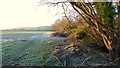 Frosty footpath to Bredon Hill