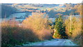 Bredon Hill above Kersoe