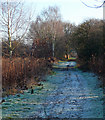 Path, Mitcham Common (2)