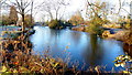 Ice laden pond