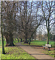 Path, Beddington Park (3)