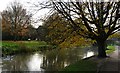 Canterbury West Gate Gardens River Walk