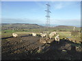 Viewpoint below Moelfre