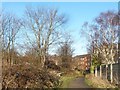 Path alongside Churchfields, Rothwell