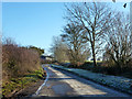 Partly frosty lane