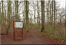 TL4854 : Beechwoods Nature Reserve by Alan Murray-Rust