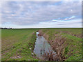 TL6526 : Field ditch near Hill Farm by Robin Webster