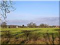 View north from Great Saling - Great Bardfield road