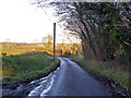 Lane to Little Sampford