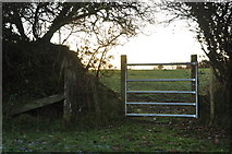 SS8927 : West Somerset : Grassy Field & Gate by Lewis Clarke