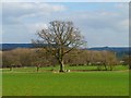 Farmland, Hesket