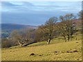 Pasture, Kirkhaugh