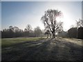 SJ7661 : Frosty scene in Sandbach Park by Stephen Craven