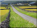 Road, Nentsberry, Alston