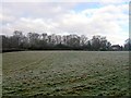 Barn Field