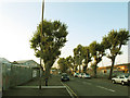 Improved cycle path, Tunnel Avenue