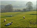 Pastures above St John