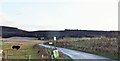 Access road to Courtiestown farm