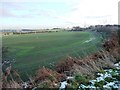 Greening field east of Robin Hood