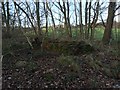 Apedale Country Park: remains of brick building in woodland