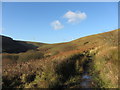 Footpath near Evanstown