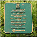 SK9224 : Newton's Apple Tree plaque by Richard Croft