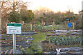 Shoulder of Mutton Allotments, Bradford-on-Avon