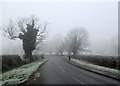 TL4354 : Nearing Grantchester in January by John Sutton