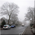 Sedley Taylor Road: frost and fog