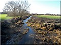 The River Thame north of Aylesbury