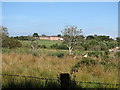 Glasdrumman Primary School viewed across Loughaveely Fen