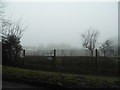 Allotments by Chelsham Road