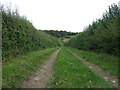 Farm track (restricted byway) towards Holbeck