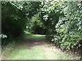 Path on disused railway, Whaley Thorns