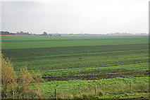 TL5374 : Flat farmland by N Chadwick
