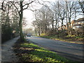 Park Lane - viewed from Springhead Road