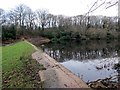 Llyn Fairwood / Fairwood Lake