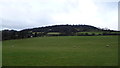 Field above the Brecon Road west of Abergavenny