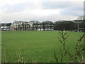 Playing Fields - Dean Lane