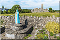 R4174 : Madonna and Quin Abbey by Ian Capper