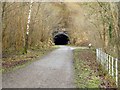 SK1772 : The entrance to Cressbrook tunnel by Steve  Fareham