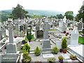 S7237 : Graveyard at St Mullin's by Humphrey Bolton