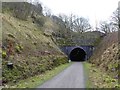 SK1273 : Chee Tor tunnel eastern portal on the Monsal Trail by Steve  Fareham