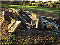 SP2965 : Pile of poplar logs, Riverside open space, Emscote Gardens, Warwick by Robin Stott
