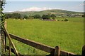 Pasture above the Wallabrook valley