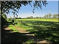 SX4778 : Track and field, Heathfield Farm by Derek Harper