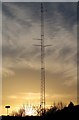 SU5290 : Communications mast in Didcot by Steve Daniels