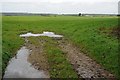 Field near Dairyland Farm World