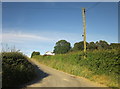 Lane near Devon Great Consols Mine