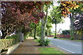 Spencefield Lane in Evington, Leicester